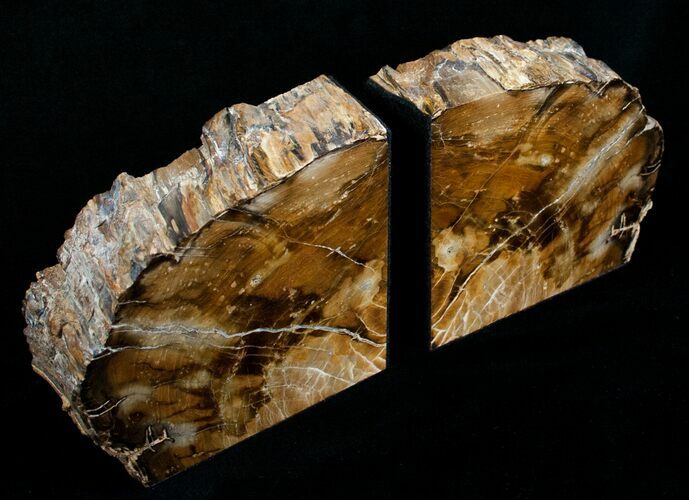 Small Sequoia Petrified Wood Bookends - Oregon #4489